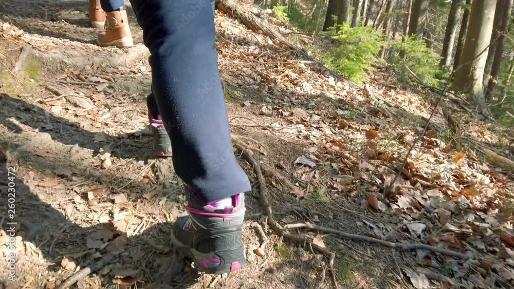 Girl hiking in forest steping over roots of trees looking out of ground. Filmed on hiking trip to the mountains on beautiful autumn day. Girl hiking in forest steping over roots of trees looking out of ground. Filmed on hiking trip to the mountains on beautiful autumn day.