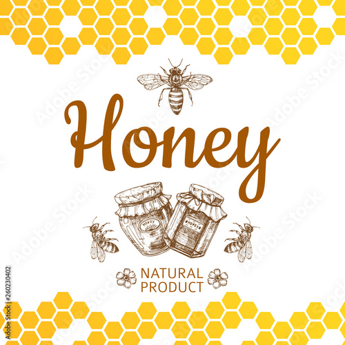 Vintage honey logo and background with vector bee, honey jars and honeycombs. Natural honey food, honeycomb and bee illustration