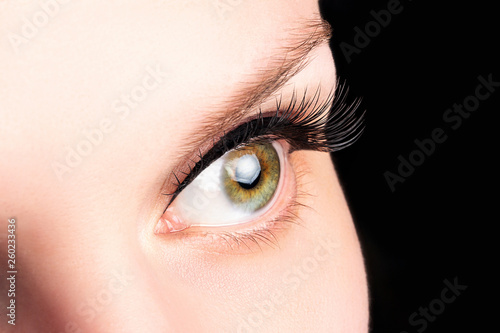 Fototapeta Naklejka Na Ścianę i Meble -  Female green eye with long eyelashes on the black background close-up. Eyelash extensions, lamination, cosmetology, ophthalmology concept. Good vision, clear skin.
