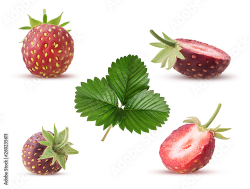 Set wiild strawberry with leaf photo