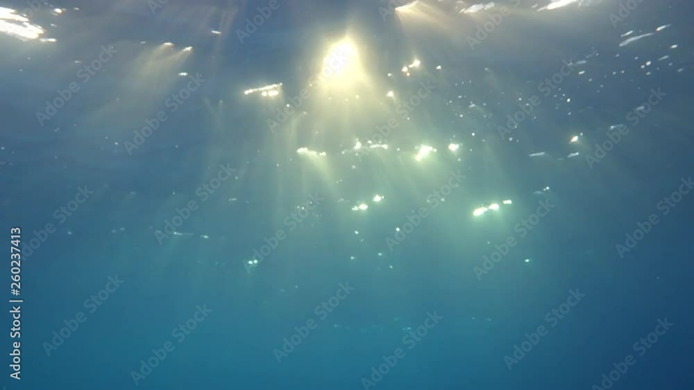 Sun Rays Beaming Direction Underwater: Glimmering Sun Rays Beaming Through the Water in Big Island ...