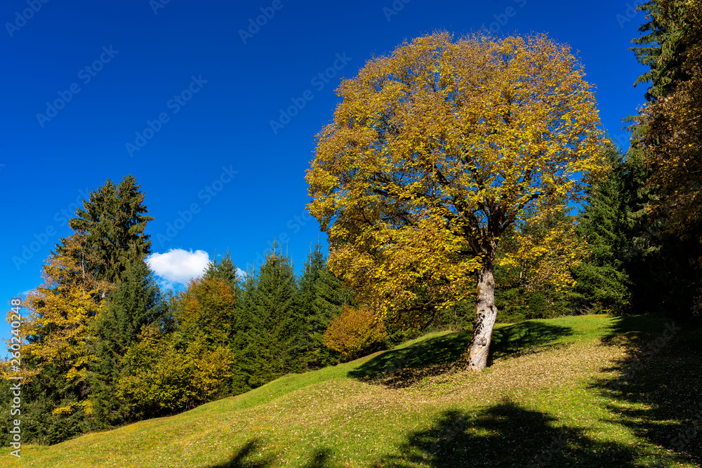 landscape near Garmisch Partenkirchen in Bavaria, Germany landscape near Garmisch Partenkirchen in Bavaria, Germany