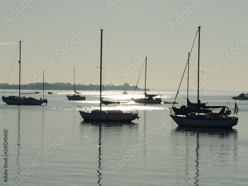 Marina Morning Boats 