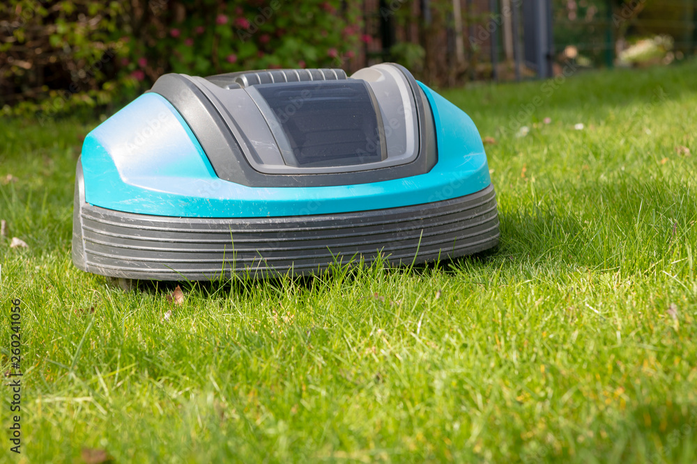Mähroboter im Garten Stock Photo Adobe Stock