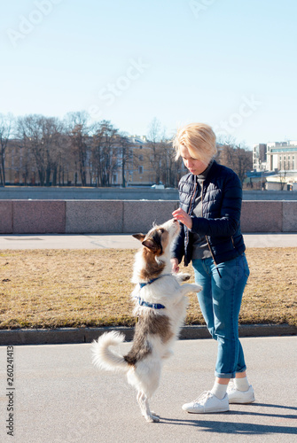 girl is training her dog, woman walking in the park with her Jack Rassell photo