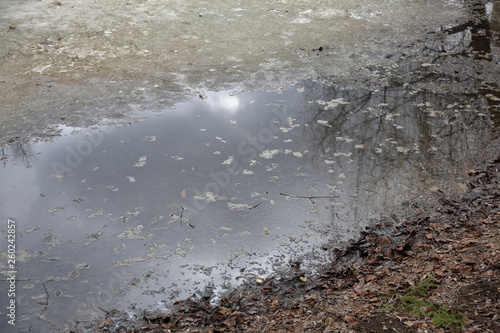 Frozen water surface near the shore of the lake in early spring