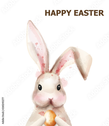 Easter bunny rabbit Vector. Cute pet holiday card isolated on whites
