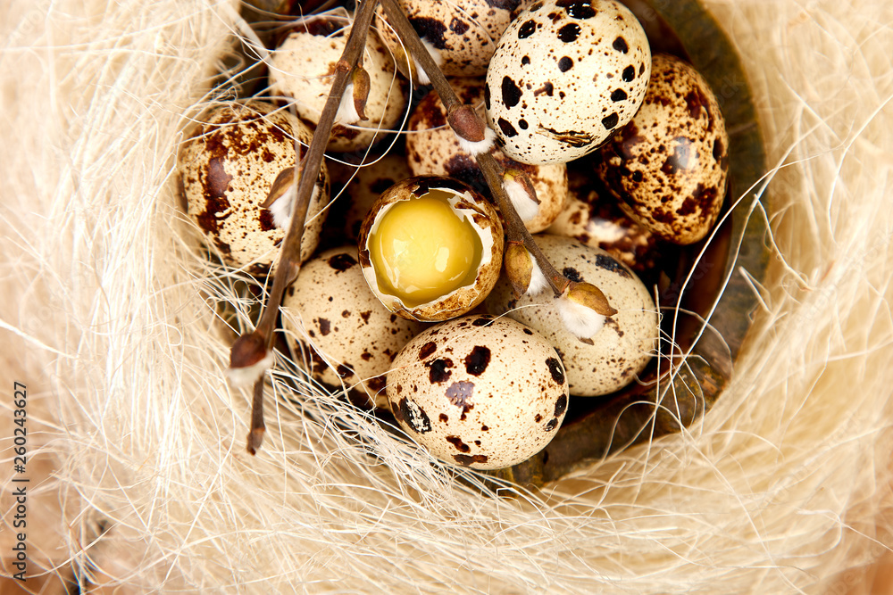 Quail eggs in the nest on wooden background with willow branch. Quail eggs in the nest on wooden background with willow branch.