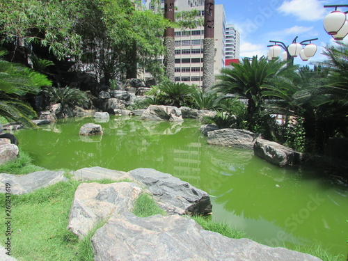 Green lake in park with city view