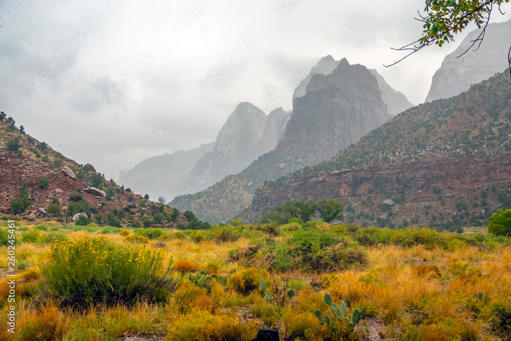 Fototapeta premium Zion National Park, Utah