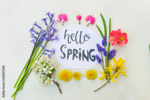 Spring flowers with sign hello spring on white background