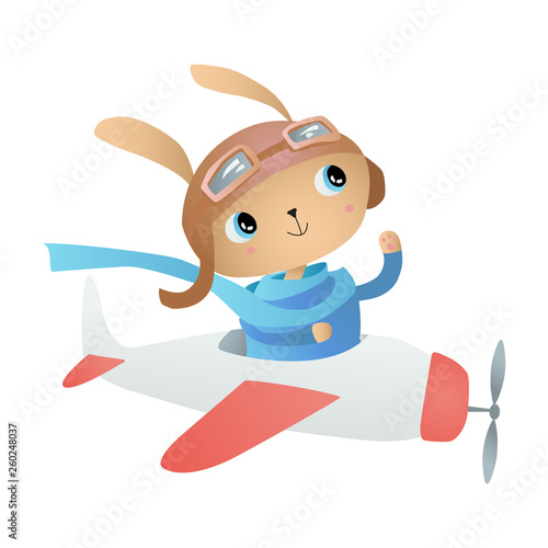 Bunny pilot