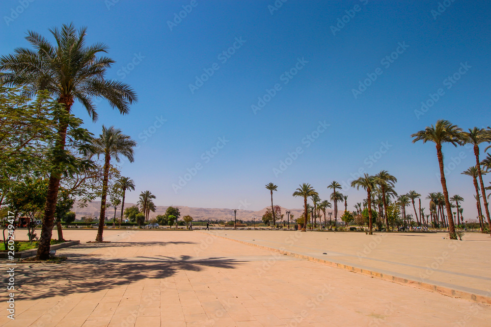 Downtown in Luxor, Egypt. Image of the ruins with cactuses and trees in desert area out of city centre. Downtown in Luxor, Egypt. Image of the ruins with cactuses and trees in desert area out of city centre.