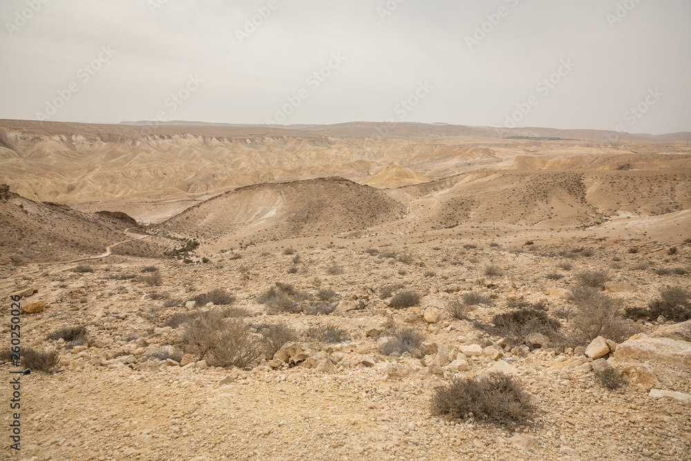 Scenic view of sand, hills and rocks  in Negev Desert in Mitzpe Ramon