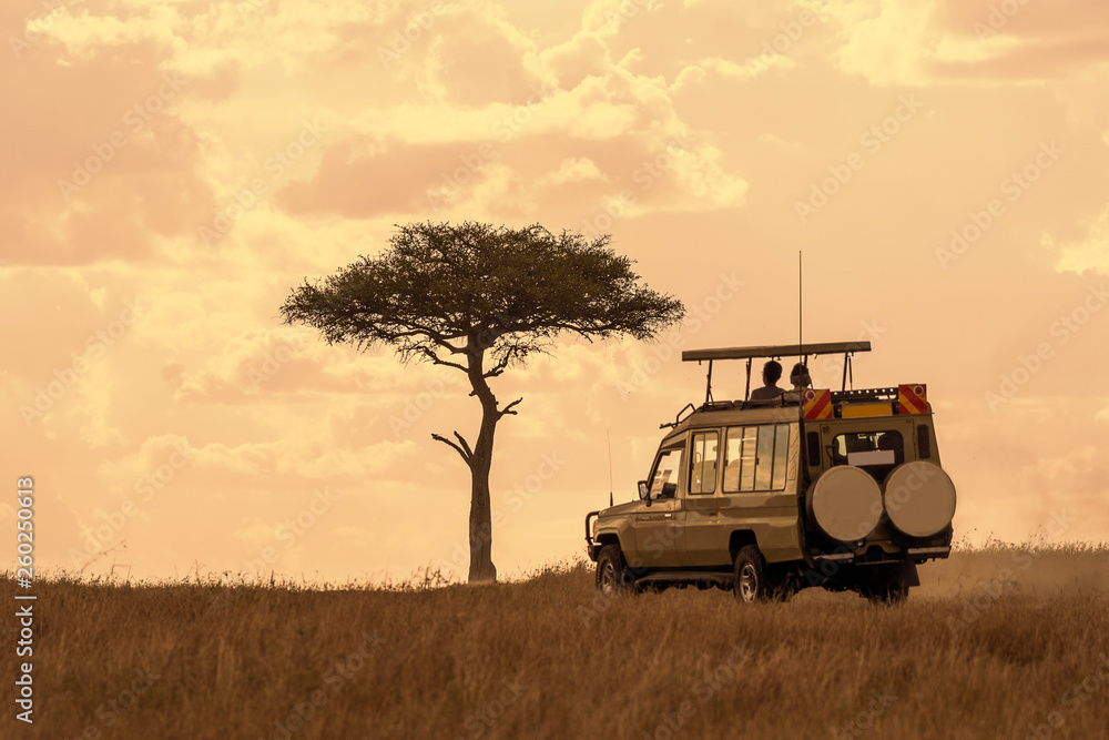 custom made wallpaper toronto digitalTourist on safari adventure at sunset, Maasai Mara, Kenya