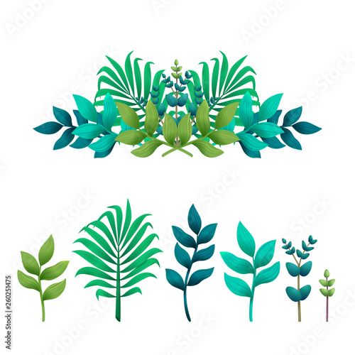 Tropical leaves. Floral text dividers or borders. Vector illustration.