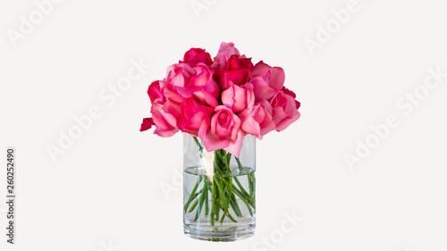 Pink roses in a glass vase, white background