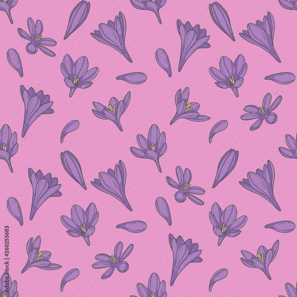 Seamless pattern with purple crocus spring flowers and petals on pink background