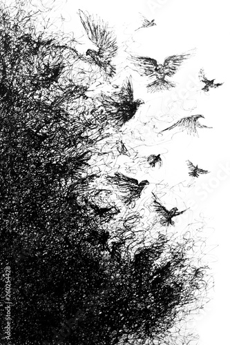 Handmade symbolic pen drawing of birds disintegrating from a group to individuals and into particles