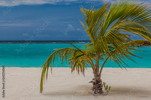 Malediven im  lhaviyani Atoll photo