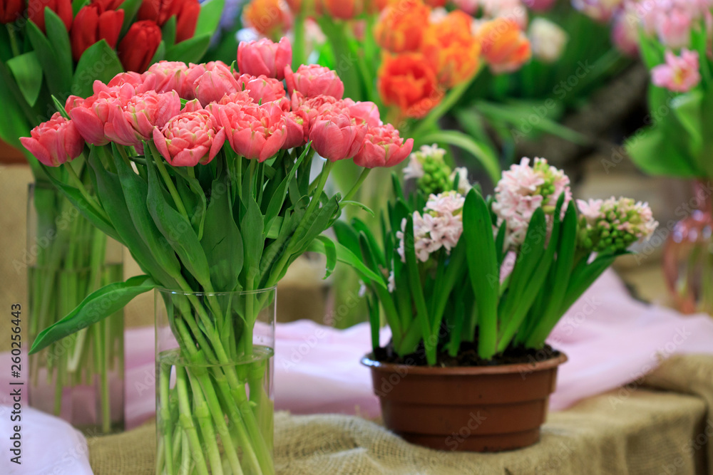 Multi-colored tulips in the window of a flower shop.