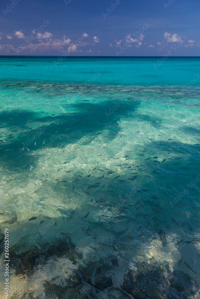 Malediven im  lhaviyani Atoll