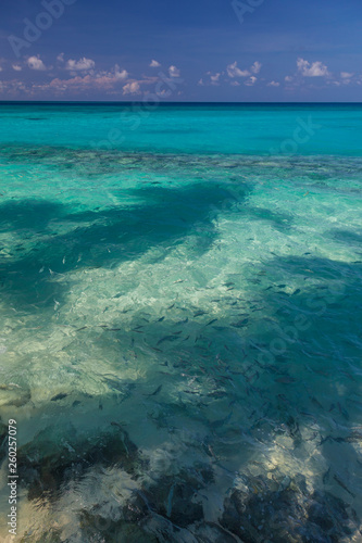 Malediven im lhaviyani Atoll