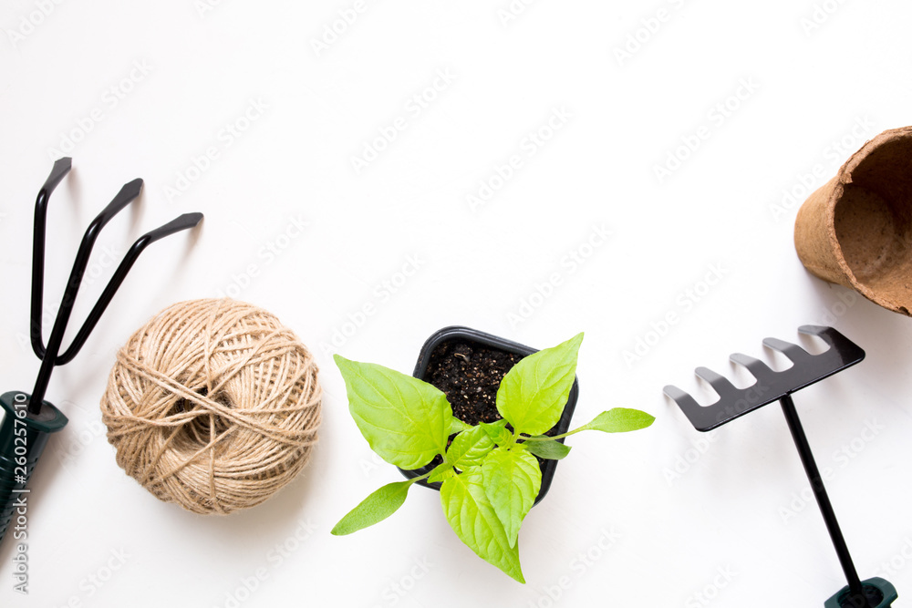 Growing vegetables. Spring season. Garden tools and pots for plants..