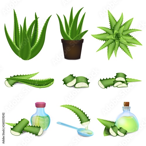 Aloe icons set. Cartoon set of aloe vector icons for web design