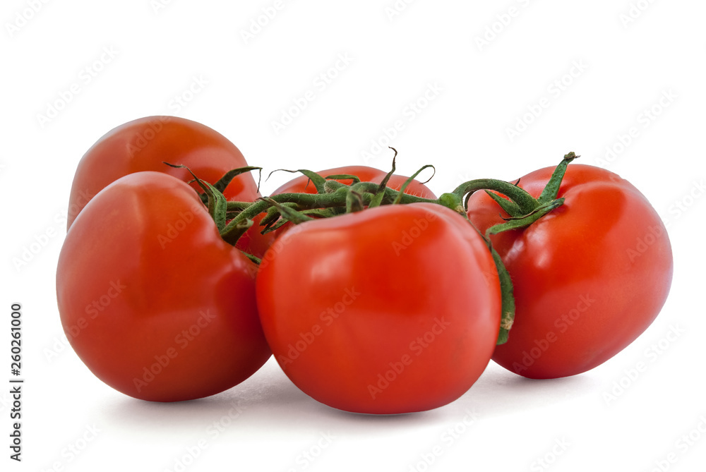 fresh organic soil tomatoes on branch isolated on white close up fresh organic soil tomatoes on branch isolated on white close up