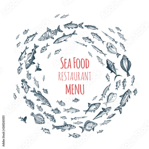 Vector illustration sketch - fish market. Card menu seafood. vintage design template, banner.