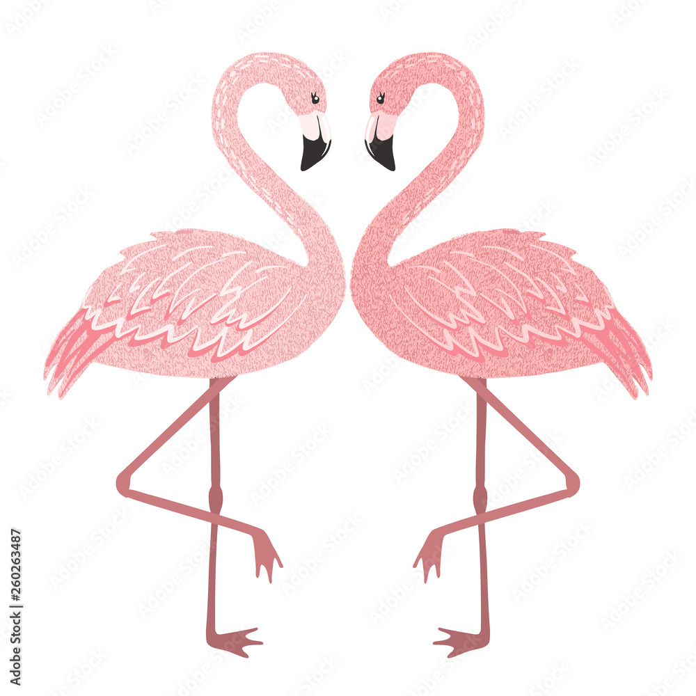 Fototapeta premium Pink flamingo couple in love isolated on white.