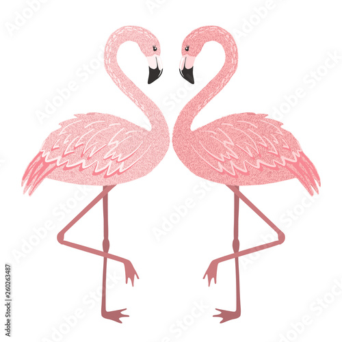 Pink flamingo couple in love isolated on white.
