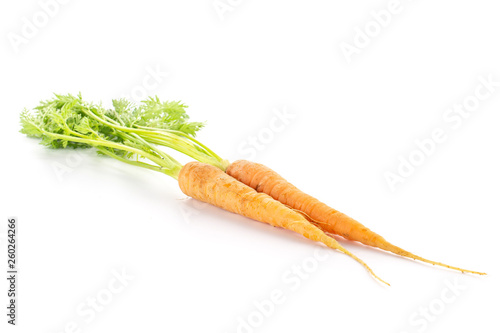 Group of two whole raw fresh orange carrot with greens isolated on white background