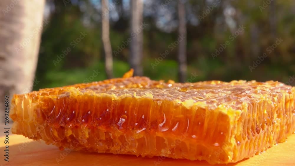 Honey comb lies on a wooden table against the background of birches on a sunny summer day. Bee flying around frame with honeycombs on a wooden table. Honey comb lies on a wooden table against the background of birches on a sunny summer day. Bee flying around frame with honeycombs on a wooden table.