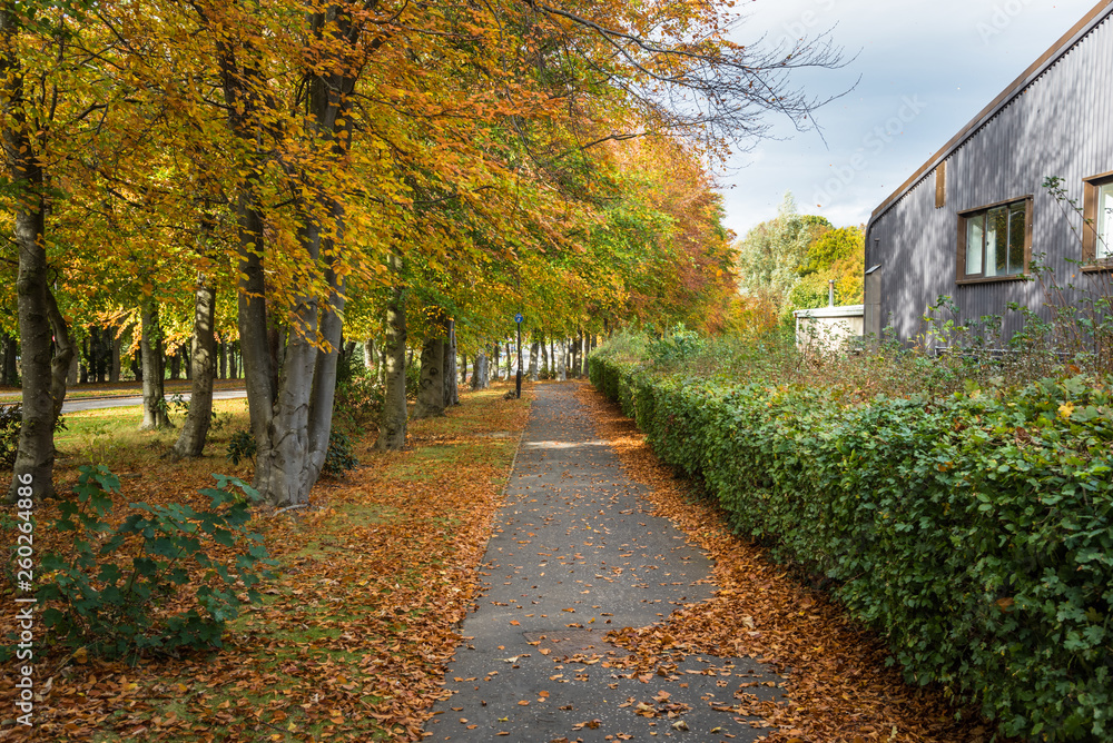 Path for Pedestrians and Bicycles Lined with Colourful Autumnal Trees