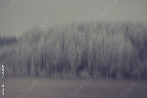 abstract forest blurred winter vertical lines / winter forest background, abstract landscape