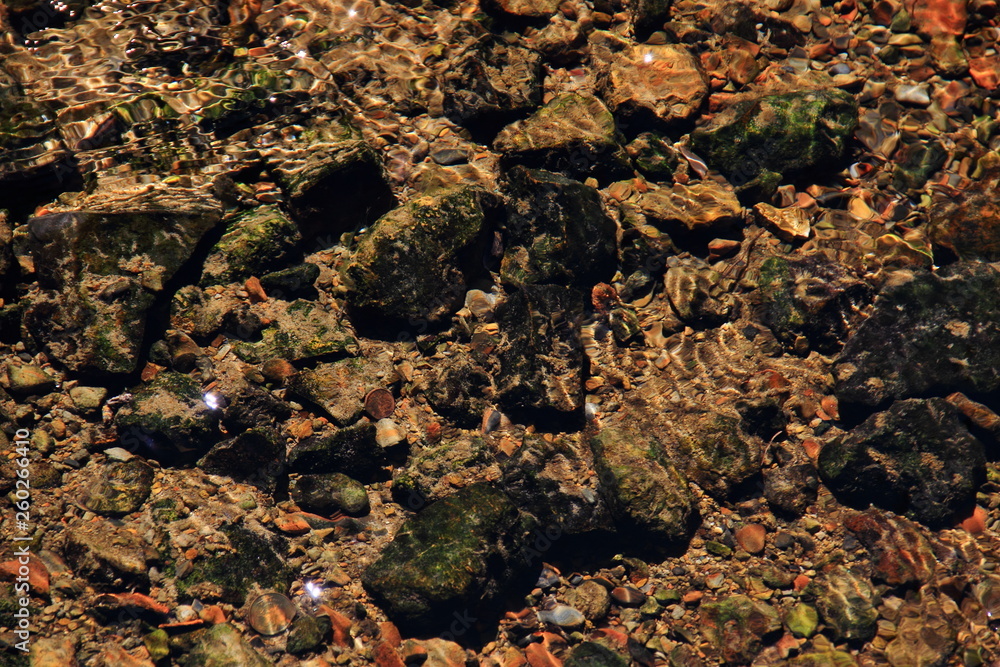 rocks and moss under water