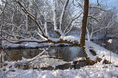 Snow-covered across fhe river