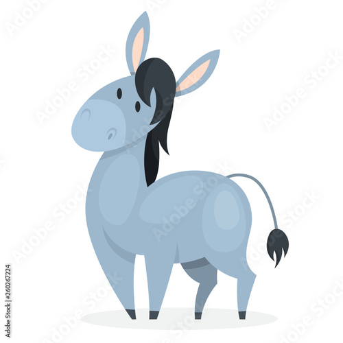 Funny donkey