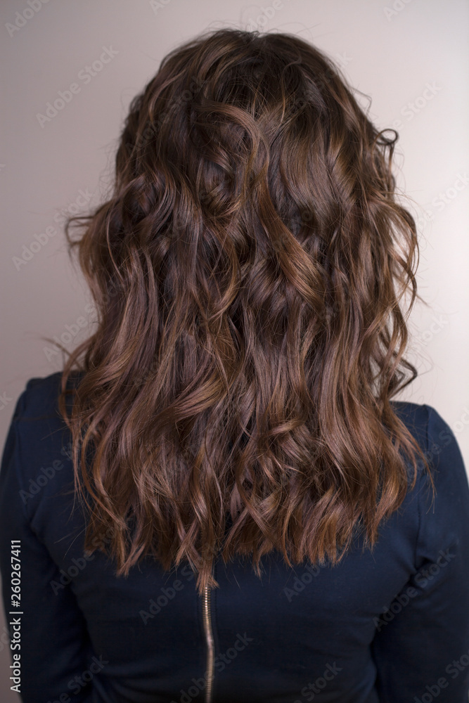 Naklejka premium Female Long wavy brunette hair, rear view