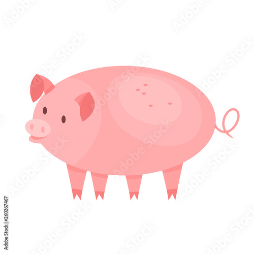 Cute pig. Farm domestic animal with a piglet