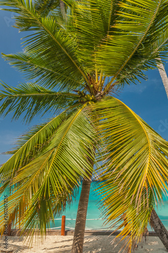 Malediven im lhaviyani Atoll