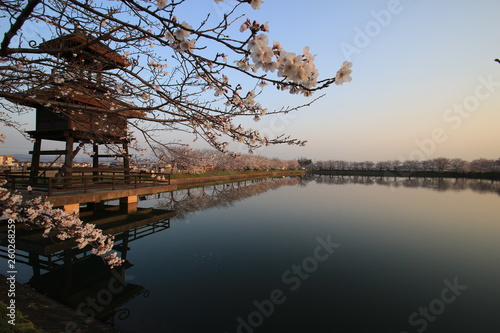 Wallpaper Mural 鍵唐古遺跡の楼閣と桜 Torontodigital.ca