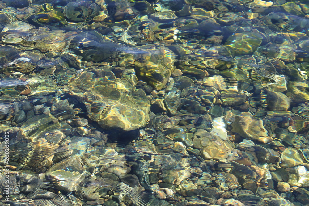 Baikal clear water