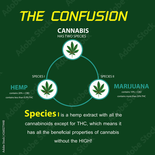 the confusion cannabis hamp and THC photo