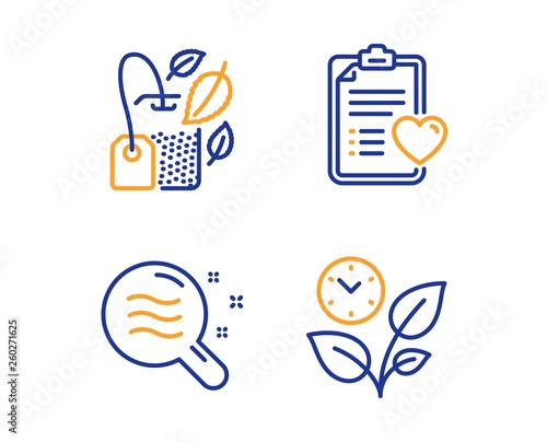 Mint bag, Patient history and Skin condition icons simple set. Leaves sign. Mentha tea, Medical survey, Search magnifier. Grow plant. Healthcare set. Linear mint bag icon. Colorful design set. Vector