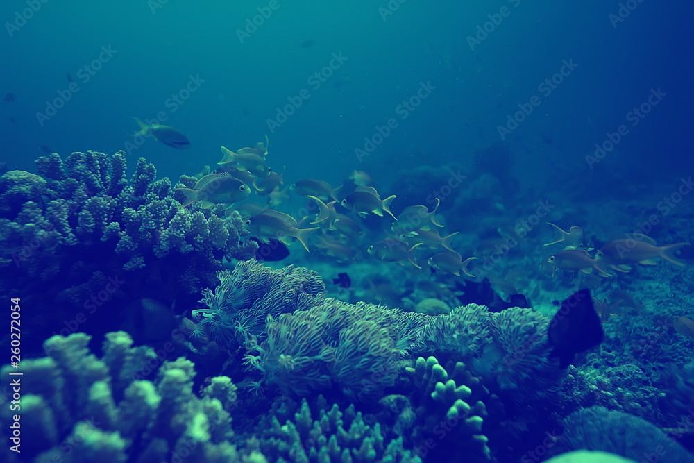 coral reef vintage toning / unusual landscape, underwater life, ocean nature
