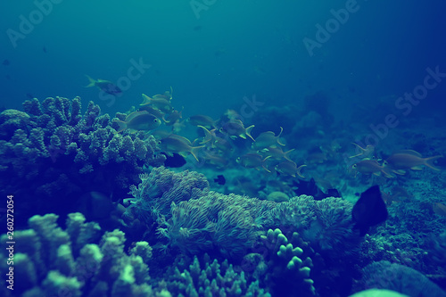 Fototapeta Naklejka Na Ścianę i Meble -  coral reef vintage toning / unusual landscape, underwater life, ocean nature