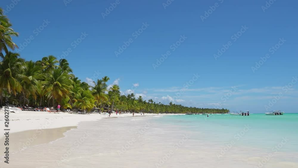 Palms island beach and blue Atlantic ocean. Travel to Dominican Republic island. Summer background. Big wild beach with palm trees and white sand blue water and sky. Beautiful turquoise sea Palms island beach and blue Atlantic ocean. Travel to Dominican Republic island. Summer background. Big wild beach with palm trees and white sand blue water and sky. Beautiful turquoise sea